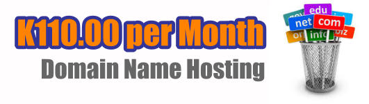 K110.00 per Month  Domain Name Hosting